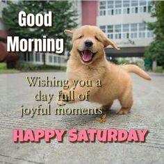 a dog is standing on the sidewalk with its mouth open and tongue out, saying good morning wishing you a day full of joyful moments happy saturday