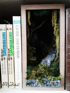 a book shelf filled with books next to a window covered in mossy plants and rocks