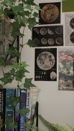 there are many pictures on the wall with plants growing in them and bookshelves