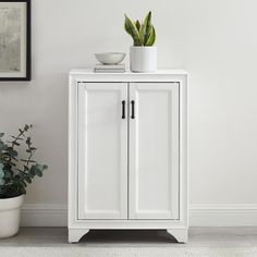 a potted plant sitting on top of a white cabinet