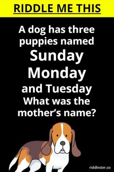 a dog has three puppies named sunday monday and tuesday what was the mother's name?