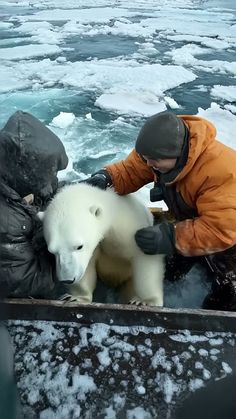 a man in an orange jacket petting a polar bear on the back of a boat