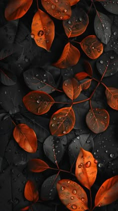 leaves with water drops on them are shown in this image, the background is black and orange