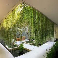 an indoor garden with water and plants in the center, surrounded by white concrete walls