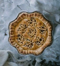 a pie sitting on top of snow covered ground