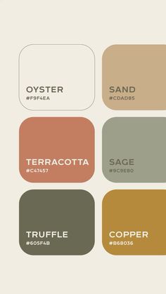 Color Schemes With Terracotta, Organic Palette Color, Colour Palette Terracotta, Boho Modern Color Palette, Terracotta Sage Color Palette, Cream And Black Color Palette, Warm Interior Color Palette, Small Bathroom Decor Ideas On A Budget Color Schemes, Color Palette Cool Tones