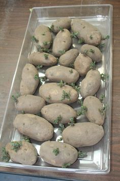 there are many rocks in the tray on the table