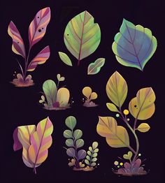 a bunch of different colored leaves on a black background with some plants growing out of them