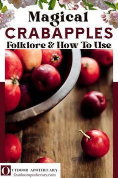 crabapple Crabapple Recipes, Outdoor Apothecary, Circle Garden, Crab Apples, Food Forest Garden, Fall Fruit, Apple Types, Plant Benefits, Sacred Circle