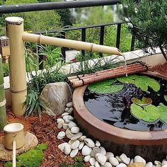 an outdoor pond with water lilies and bamboo poles