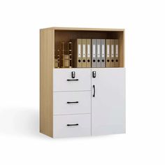 an office cabinet with files and folders in it