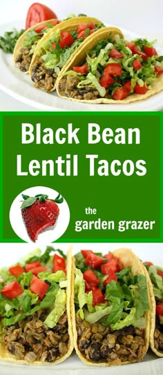 black bean lentil tacos the garden grazer by lenti graer