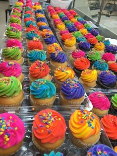 many cupcakes are lined up on trays