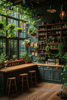 a kitchen filled with lots of green plants and potted plants on top of wooden counter tops