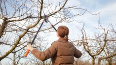 a woman in a brown jacket is holding a pair of scissors near a tree with no leaves