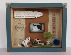 there are two cats sitting in a shadow box