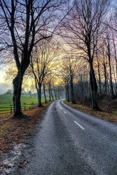 an empty road surrounded by trees with the sun setting in the distance and fog on the ground