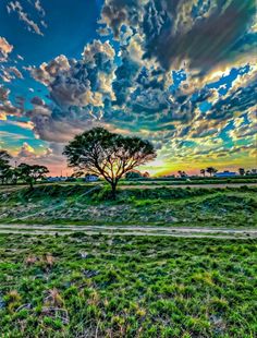 the sun is setting over a field with trees and clouds in the sky above it