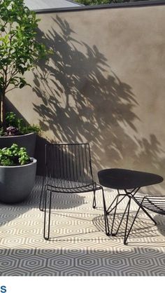 three black chairs sitting next to each other on top of a cement floor near potted plants