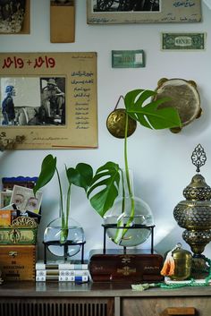 some plants are sitting in vases on a table next to books and other items