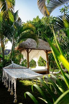 a hammock in the middle of some palm trees