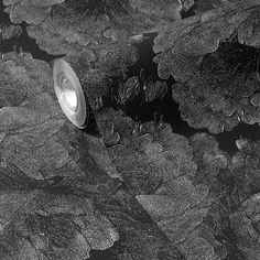 an aerial view of the earth's surface, with light shining on it in black and white