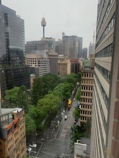 an aerial view of a city street with tall buildings in the background and trees on both sides