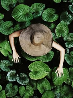 a person wearing a hat in the middle of green leaves with their hands on them