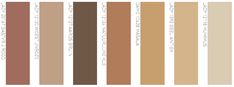 the color chart for different shades of brown