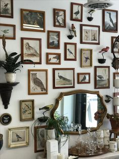 the wall is covered with many framed pictures and birds on it's sideboard