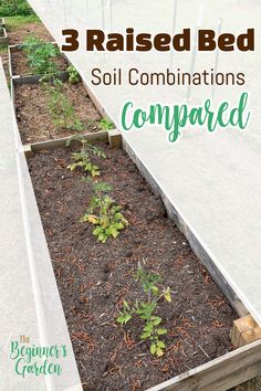 a garden bed with plants growing in it and the words 3 raised beds soil combinations compared