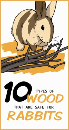 an animal with the words 10 types of wood that are safe for rabbits on it