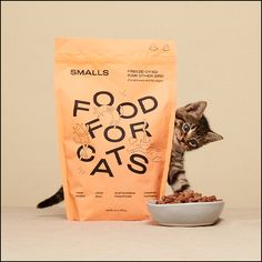 a small kitten standing next to a bag of food on top of a white bowl