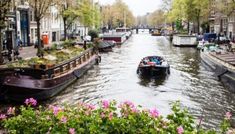 two boats are traveling down the river in front of some buildings and flowers on either side