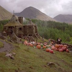 pumpkins and gourds lay on the ground in front of an old stone house