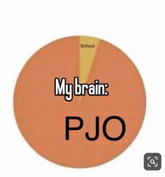 an orange circle with the words, my brain pjo