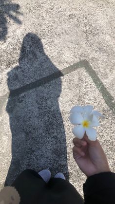 the shadow of a person holding a flower in their hand