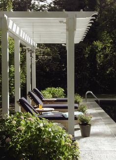 an outdoor swimming area with lounge chairs and trees