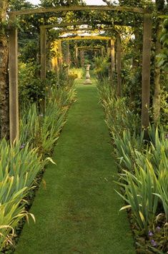 an outdoor garden with lots of plants and trees