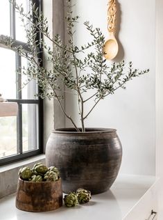 a potted plant sitting on top of a white counter next to two wooden bowls