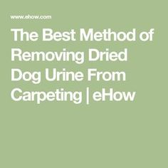 the best method of removing dried dog urine from carpeting