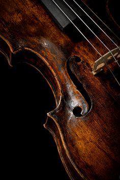 doublebass symphony contrabass uprightbass jazz classicalmusic jazzmusic bass stringbass violin viola cello kolstein Violin Close Up, Painted Violin, Instruments Aesthetic, Cello Photography, Inktober 2024, Double Bass, Guitar Art