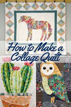 the cover of how to make a college quilt with pictures of cactuses and an owl