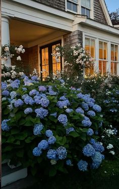 blue and white flowers in front of a house