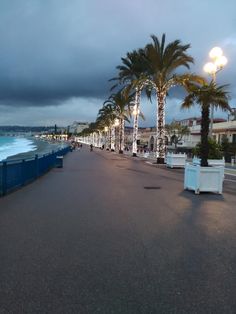 palm trees are lined up along the sidewalk near the water and beach at night time