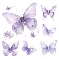 watercolor painting of purple butterflies on white background