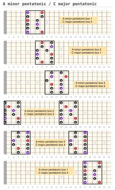 the diagram shows how many different numbers are arranged