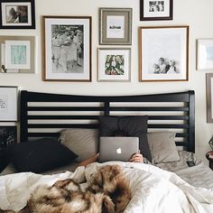 a dog laying on top of a bed next to a person using a laptop computer