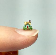 a tiny house sitting on top of a finger