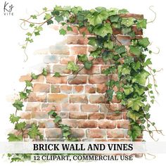 brick wall and vines clipart commercial use